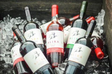 Vinuri produse în Constanţa, vândute în străinătate